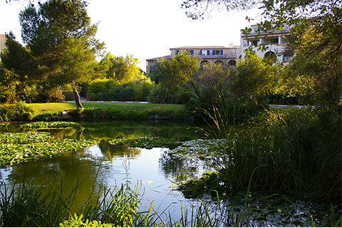 gestion locative saisonnière Domaine de la Coudoulière à Six-Fours-les-Plages