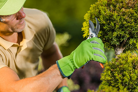 Quel est le tarif de jardinage à domicile à Six Fours les Plages